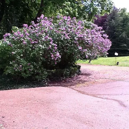 Chateau De Bed & Breakfast