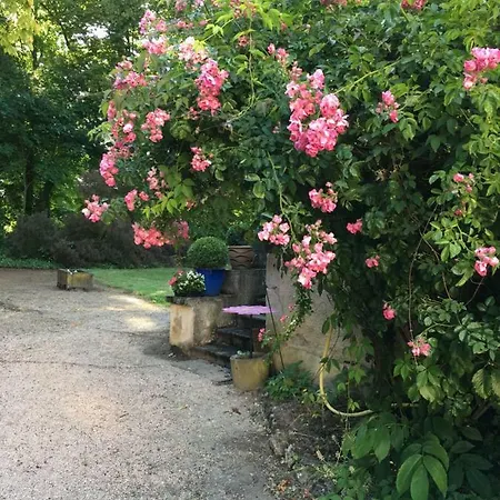 Chateau De Bed & Breakfast Saint-Agoulin