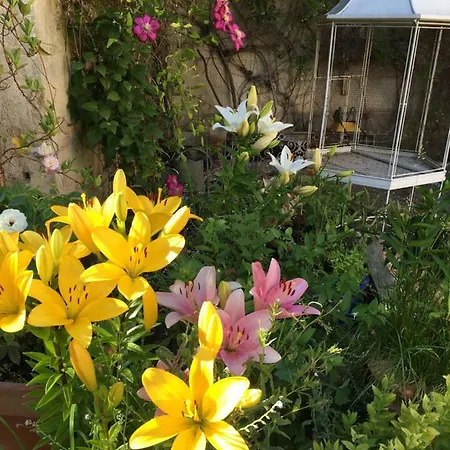 Bed & Breakfast Chateau De