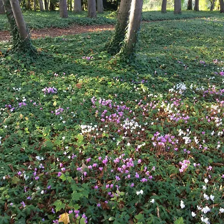 Bed & Breakfast Chateau De Saint-Agoulin