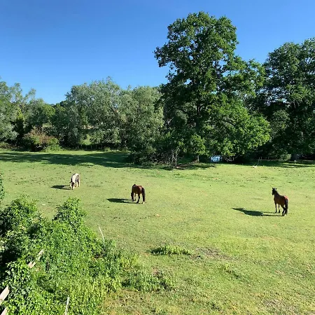 Chateau De Bed & Breakfast 3*