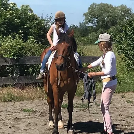 Bed & Breakfast Chateau De